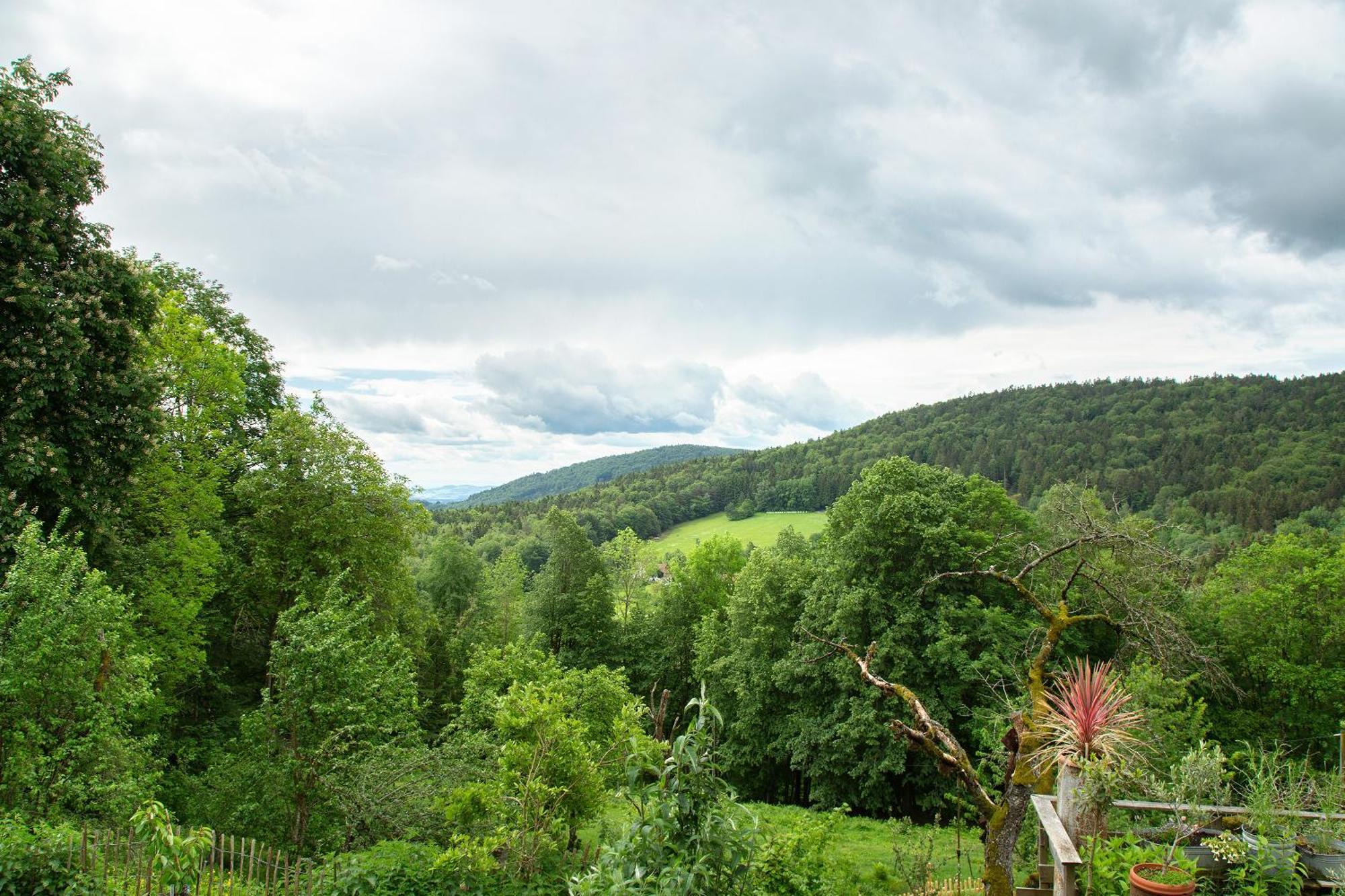 Landhaus Am Eselhof Daxstein Schollnach Bagian luar foto